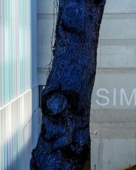 SIMMAR(1).jpg