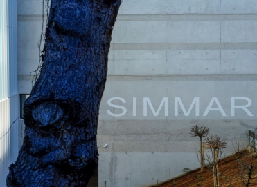SIMMAR(1).jpg